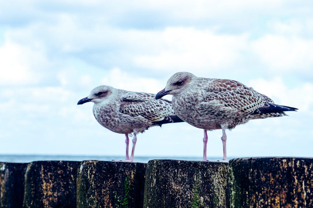 Nordsee 2018 / Tag 4 / Wangerooge Nordstrand